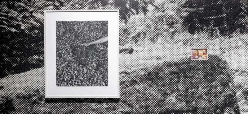 The Archive at Low Tide: Beverly Buchanan, Dionne Lee, and the Visual Telemetry of Displacement at the CAMH