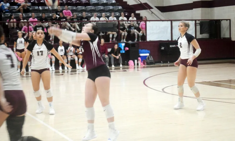 Lady Rabbits VB sweeps past Vernon