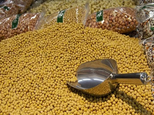 Strong Soybean Demand Supports Prices Despite Record Crop