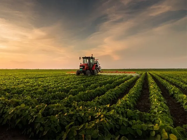 Strong El Nio Threatens Brazil Safrinha Corn Timing