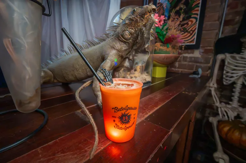Celebrate Halloween in Houston with food and drinks