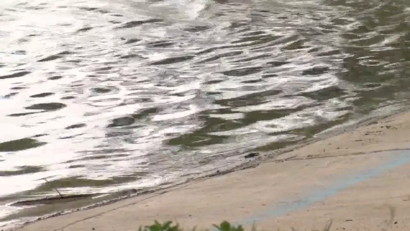 Body found near shore of Lady Bird Lake