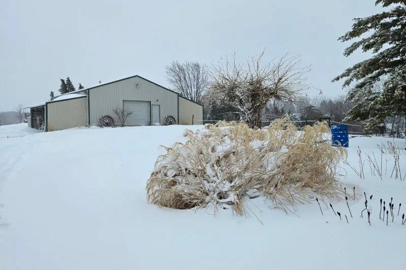 Don't Let The West Texas Freeze Damage Your Vehicle