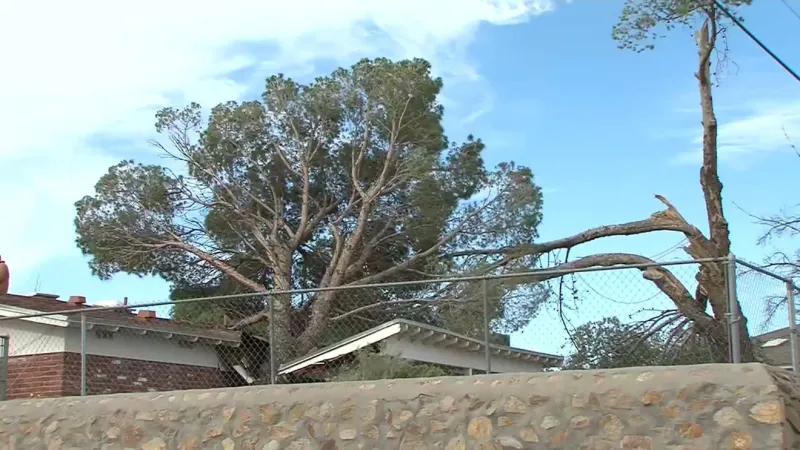 Gallery: Strong wind damage across El Paso