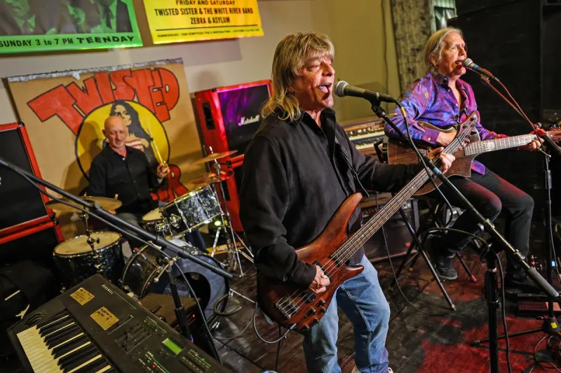 First New Zebra Album in 23 Years