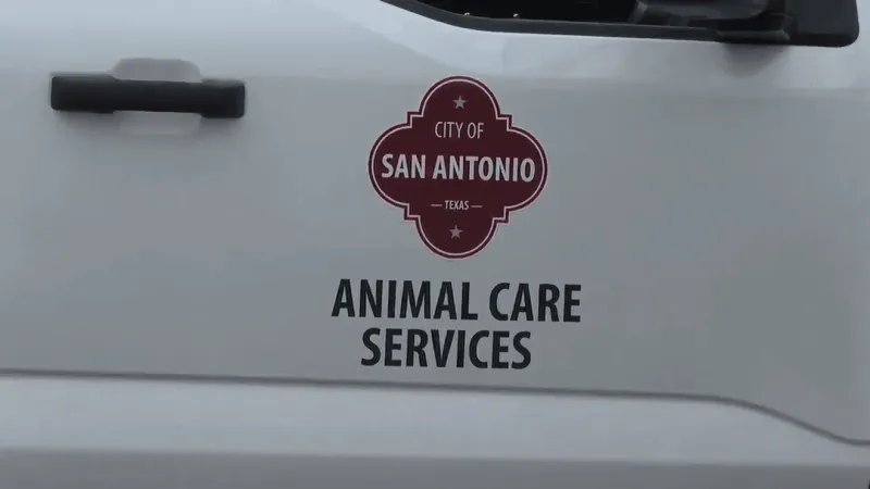 ACS removes more than a dozen dogs from East Side home after finding neglect conditions