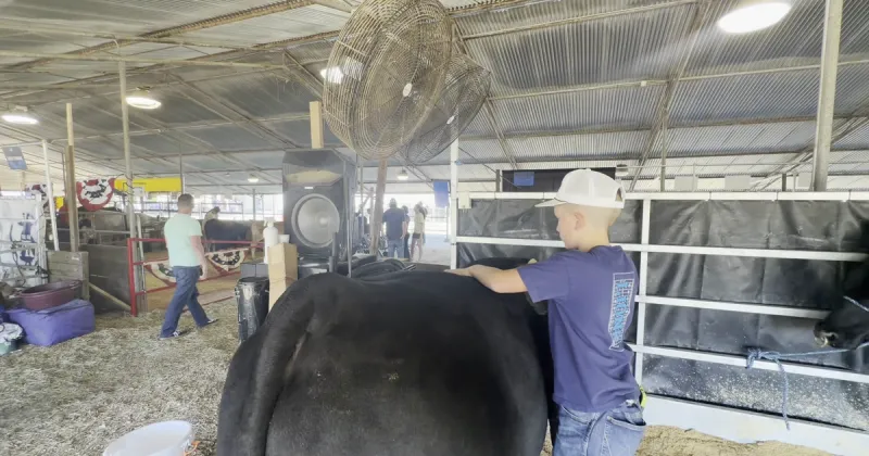 East Texas Yamboree wraps up this weekend