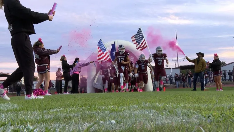 Hud Price shows out in De Leon's win over Hico