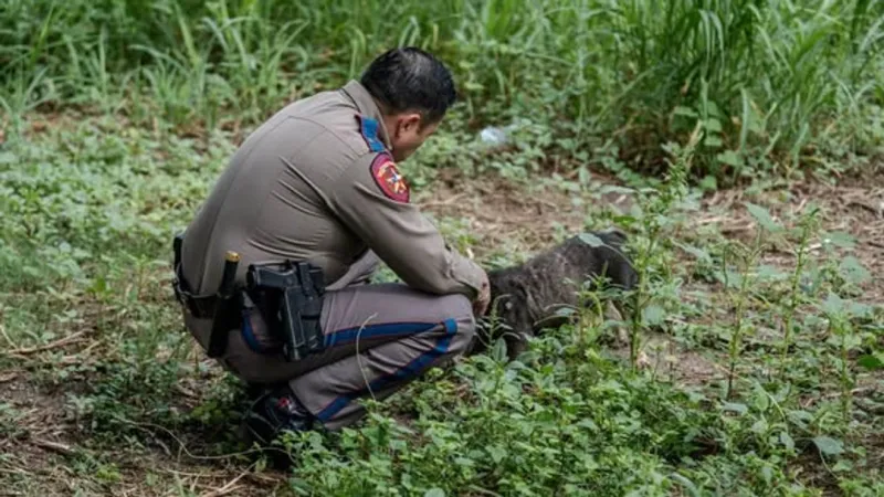 Trooper rescues frightened dog near traffic