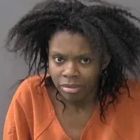 Burglary and fight at Killeen home in 2023, leads to deferred probation for a Michigan woman