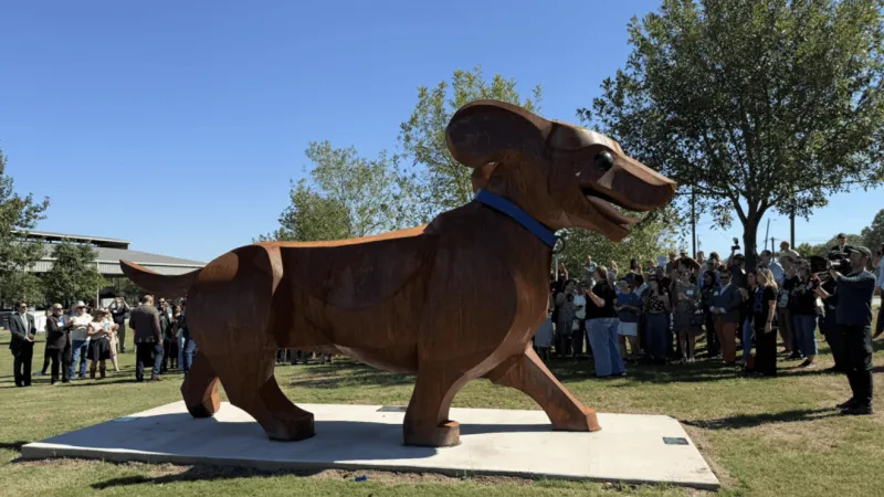 Buda marks 25 years of economic development with larger than life weiner dog sculpture