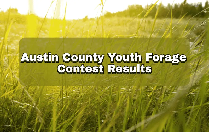 Bellville FFA Wins Austin County Youth Forage Contest