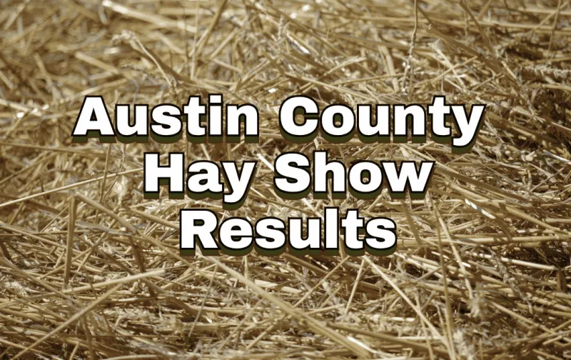 Austin County Hay Show Honors Area Hay Producers