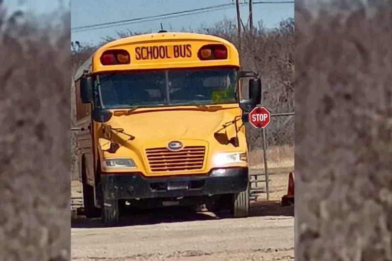 When You Must Stop For A School Bus In Texas