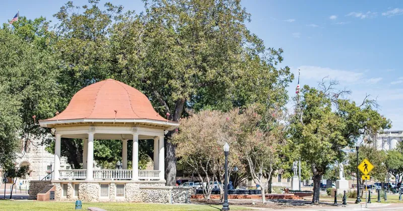 City of New Braunfels schedules removal of oak trees in downtown Main Plaza due to fungal infections