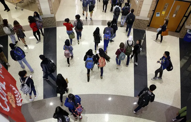 Nine State Board of Education seats are on the ballot this fall, including 4 in the Greater Houston Area