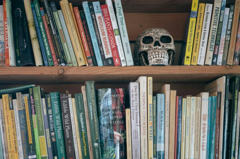 Brave Books Little Bookshop of Horrors Returns