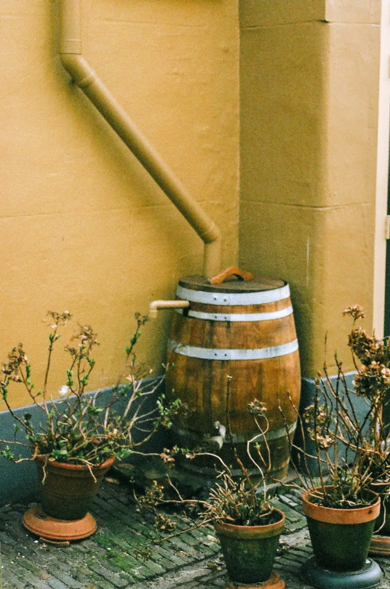 Yes, You Can Legally Harvest Rainwater In Lubbock