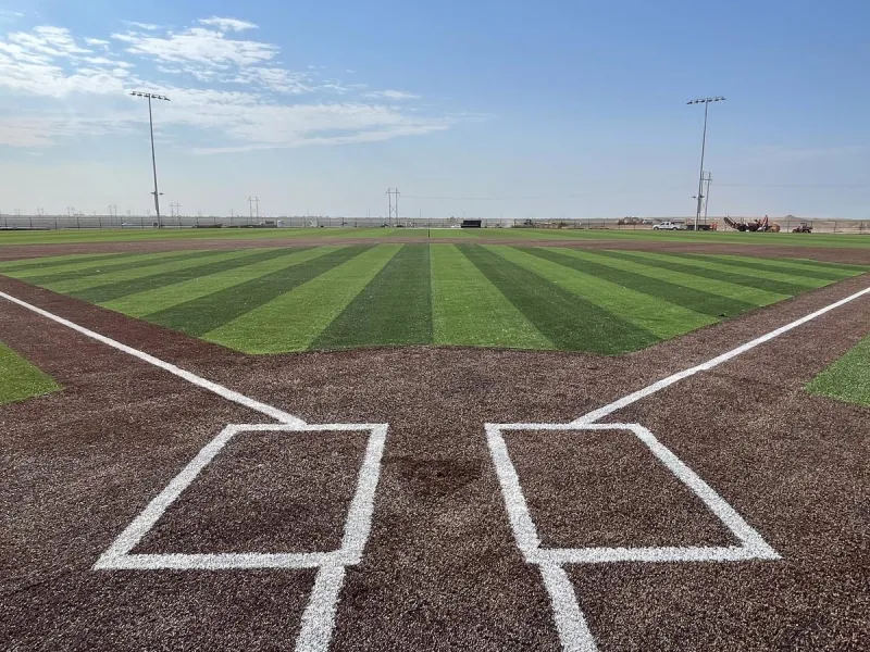 Leave Your Mark: Buy a Brick at Rockrose Sports Park
