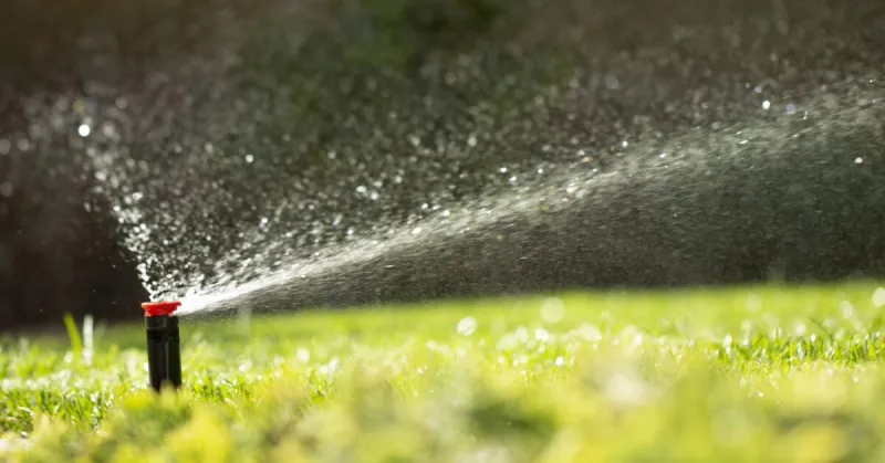 Responsible Water Use Imperative This Summer