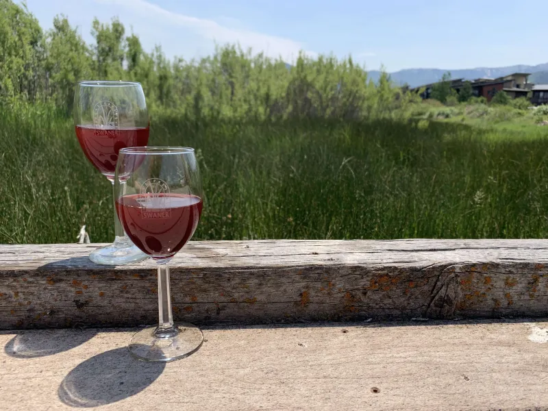 Wine Among the Willows offers an environmental pairing