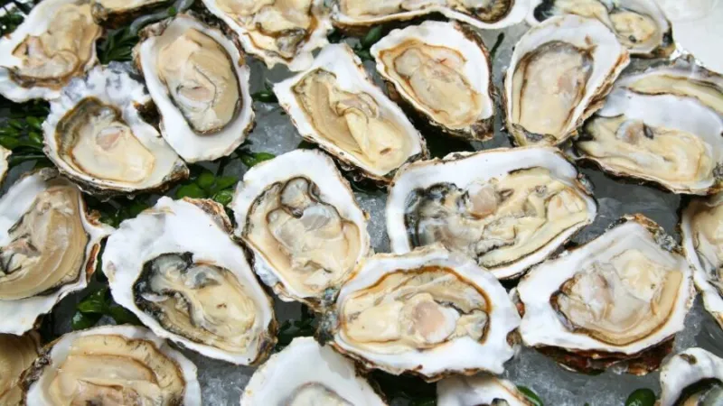 Utahns warned against buying oysters from Republic of Korea