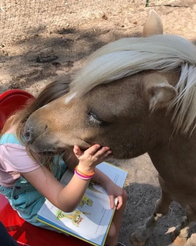 A new way to improve children's reading - with a horse, of course