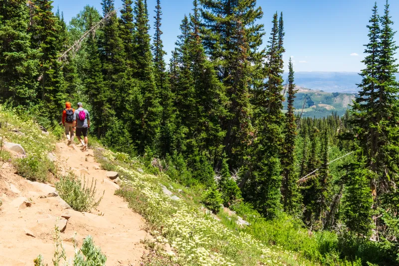 Utah has a lot of great hikes. Where does it rank nationally?