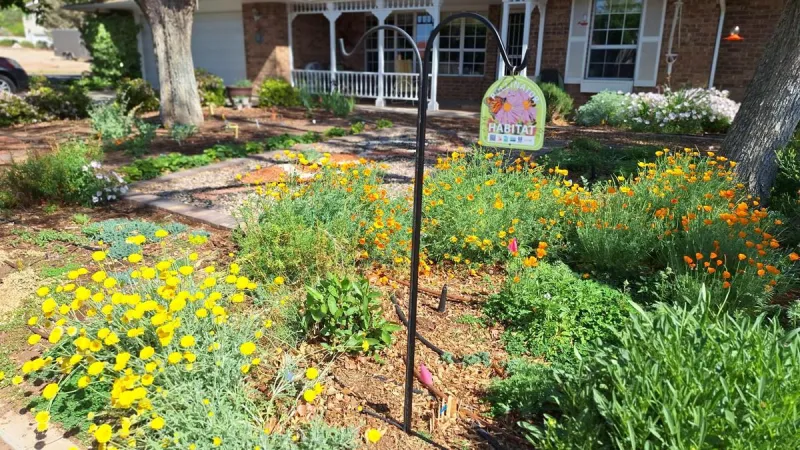 'Pretty with a purpose': How this Utahn transformed her yard into a pollinator paradise