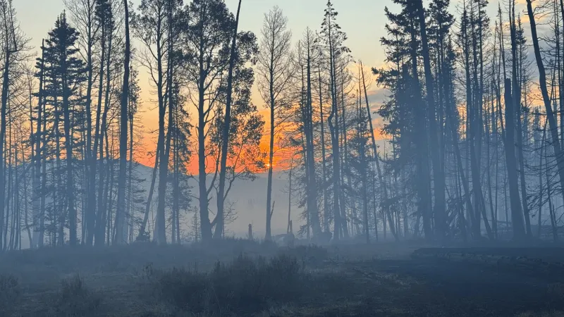 Property owners await news on cabins, land as Monroe Canyon Fire continues to grow