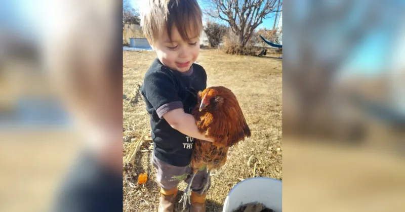 Grab Your Animals and Head Down to the Emery County Fair Animal Exhibit & Pet Show