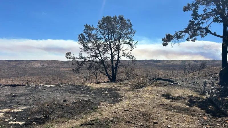 Utah-Arizona towns feel burn of wildfire fallout, lack of tourism dollars