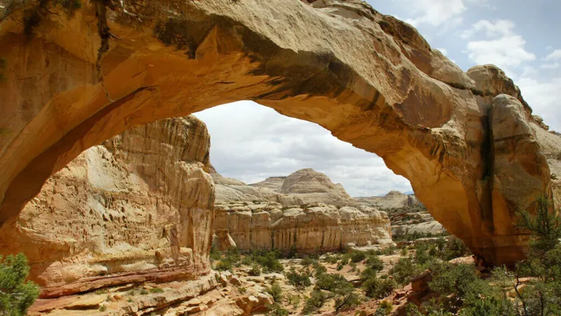 New Torrey campground? BLM wants your opinion