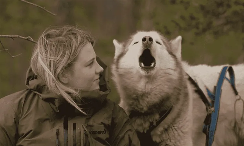 FOLKTALES review and August 2025 special screenings