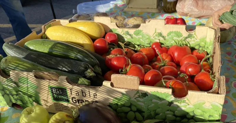 Carbon and Emery Farmer's Market Now Accepting SNAP