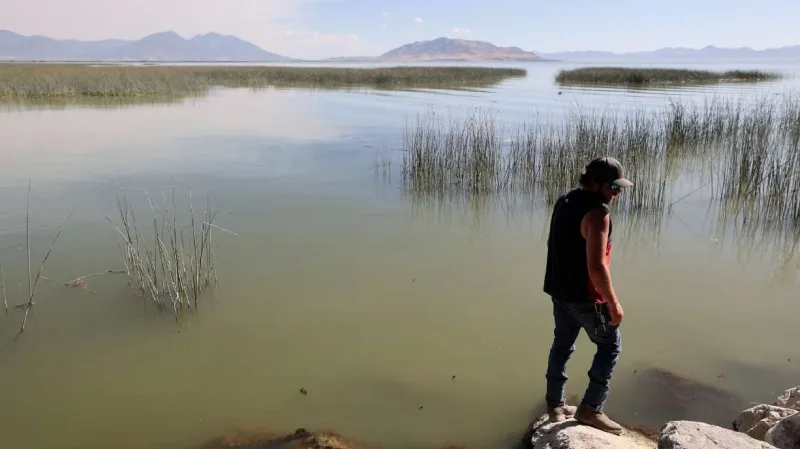 Advisories issued for Utah Lake, Jordan River as harmful algal blooms return