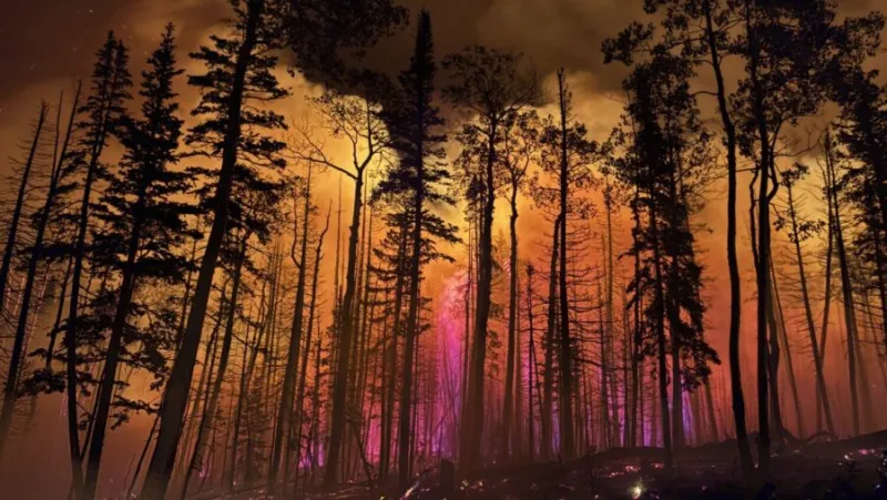 Gov. Cox declares state of emergency as wildfires continue to burn