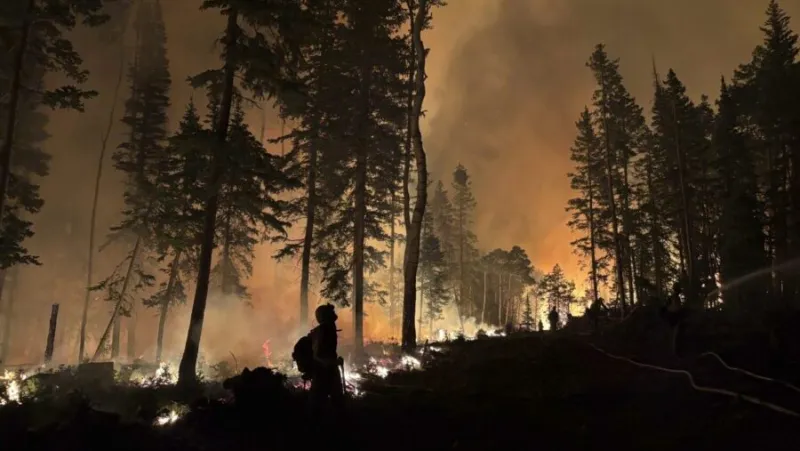 Monroe Canyon Fire creating its own weather system, threatening firefighters and the world's largest living organism
