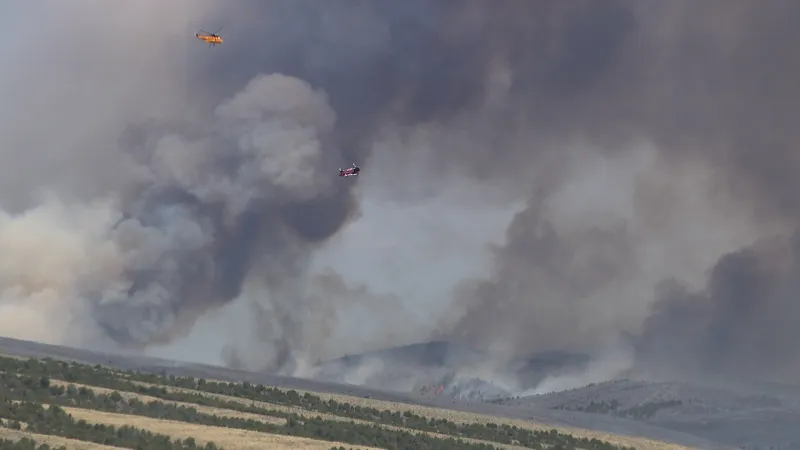 Utah implements emergency options for hunters impacted by Monroe Canyon Fire