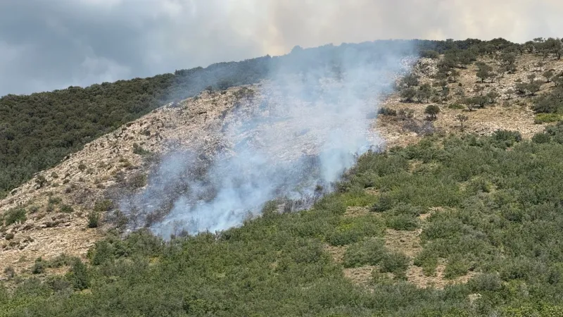 Glider crashes into Durst Mountain in Morgan County, starting hillside fire