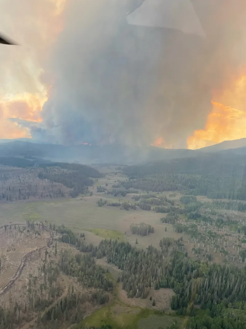 Monroe Canyon Fire containment drops to 4% as crews work to restore power in Bear Valley