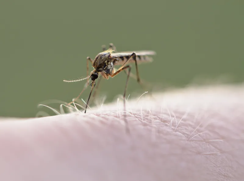 Draper pool tests positive for West Nile virus as presence increases throughout Utah