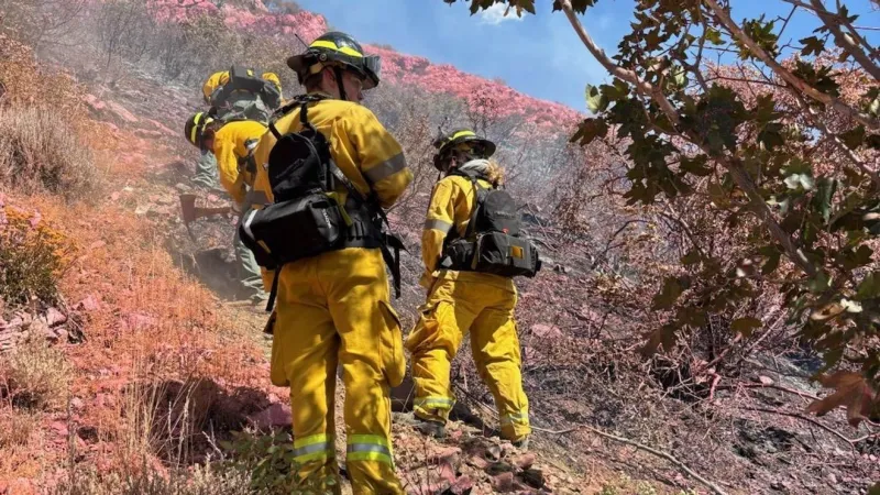 Glider pilot dies after crashing into mountain, igniting fire 7,000 feet up
