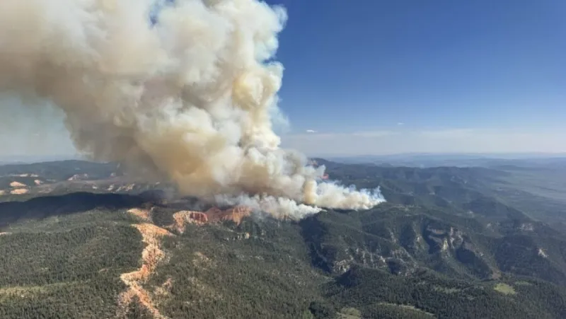 How to protect yourself from the bad air caused by wildfires