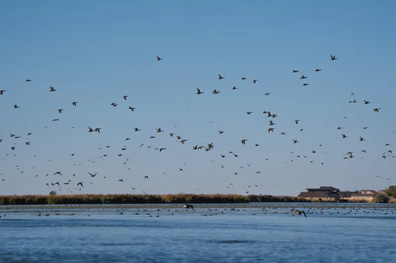As water levels dwindle, Utah Legislature might address Great Salt Lake during a special session