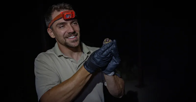 Want to See Bats in the Wild? Attend Two Upcoming DWR Viewing Events in Southeastern Utah