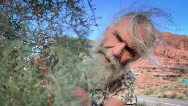 One Utah man's quest to track the bugs fighting invasive trees on the Colorado River