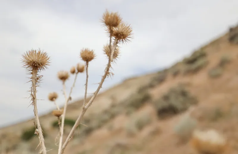 Utah dry spell worsens drought, fuels fire danger