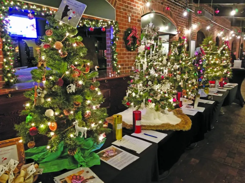 Holiday Tree Fest Introduces New Org to Annual Tradition