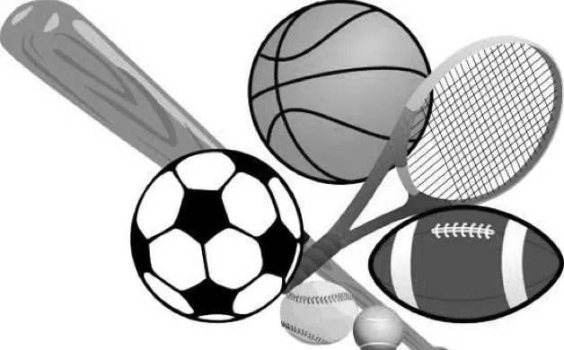 FRIDAY'S SPORTS ROUNDUP